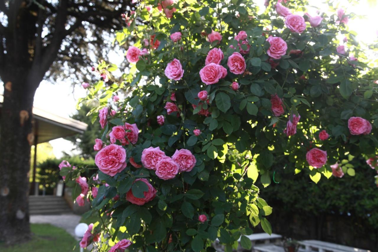 Acquachiara Iseo Deluxe Bed & Breakfast Iseo Center With Garden And Parking Inside Foresteria ภายนอก รูปภาพ